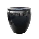 MACETERO NEGRO
