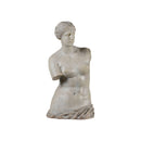 BUSTO DE VENUS