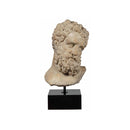 ESCULTURA DE HERCULES