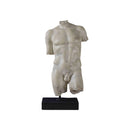 ESCULTURA TORSO MASCULINO