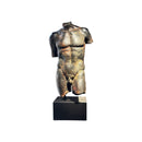 ESCULTURA TORSO MASCULINO