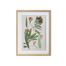 ******FRAMED PRINTINGS