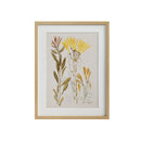 ******FRAMED PRINTINGS