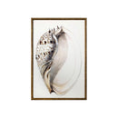 ******FRAMED PRINTINGS