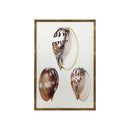 ******FRAMED PRINTINGS
