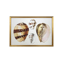 ******FRAMED PRINTINGS