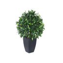 PLANTA ARTIFICIAL FICUS TOPIARY VERDE CON MACETERO