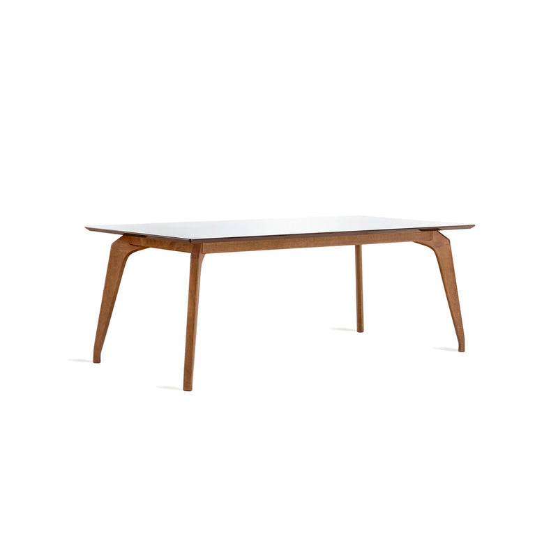 MESA DE COMEDOR GIANE
