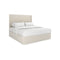 CAMA KING FALL IN LOVE