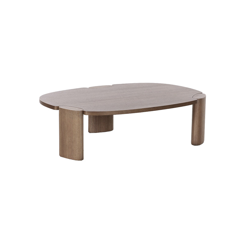 MESA DE CENTRO ACABADO DE MADERA