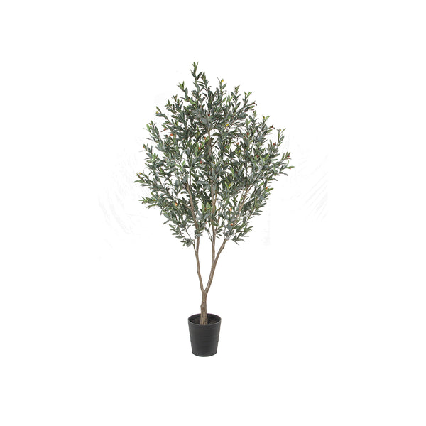 OLIVE TREE WITH POT