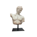 ANTINOUS FARNESIO BUST WHITE