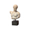 BUSTO BLANCO DE ANTINOO FARNESIO