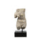 ESCULTURA DE TORSO FEMENINO