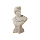 BUSTO DE DAVID