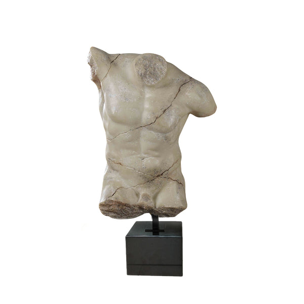 TORSO MASCULINO
