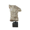 TORSO MASCULINO