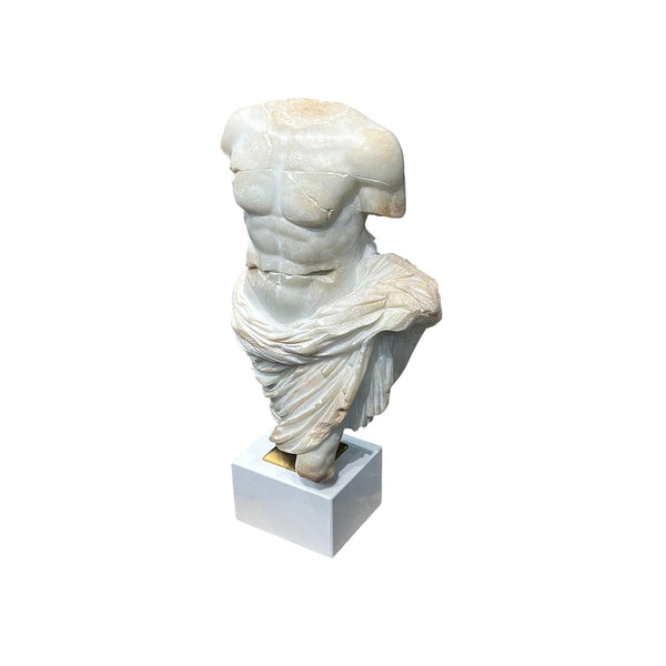 TORSO MASCULINO