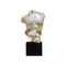 BUSTO MASCULINO