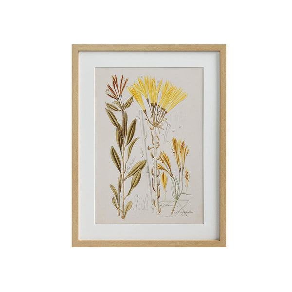 ******FRAMED PRINTINGS