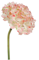HYDRANGEA MAUVE FLOWER