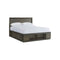 CAMA QUEEN ELATION