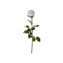 20 X 20 X 73cm  REAL TOUCH ROSE STEM, CREAM