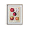 ***FRAMED PRINTINGS
