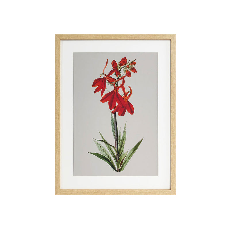 ***FRAMED PRINTINGS