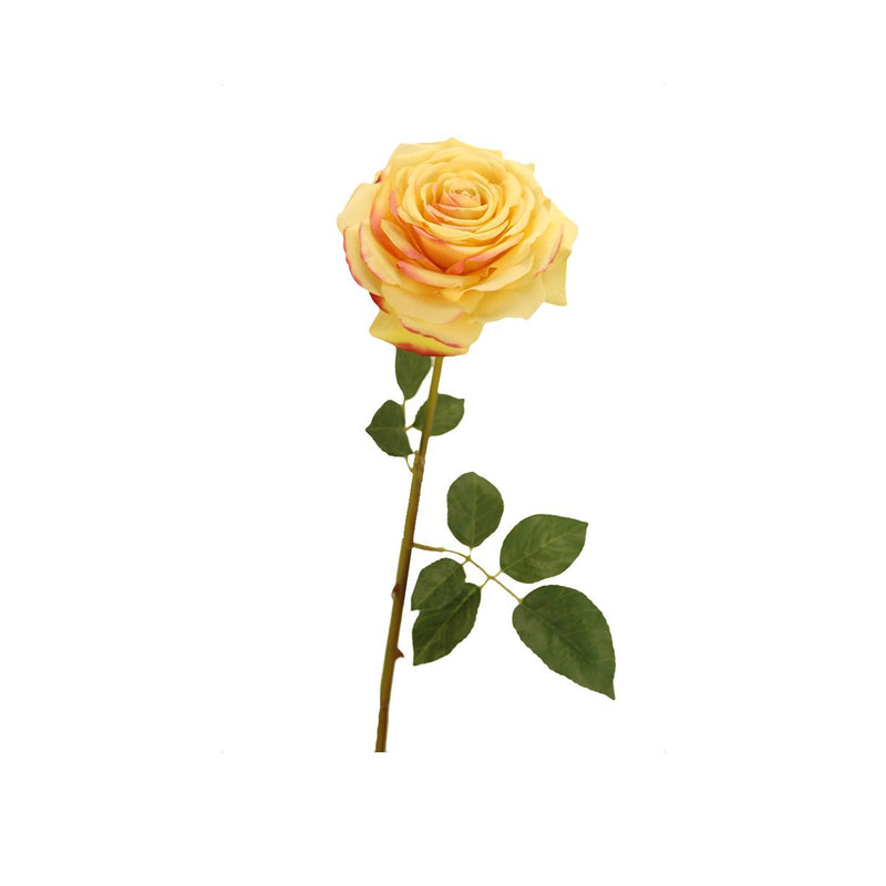 YELLOW ROSE