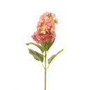 DARK PINK HYDRANGEA