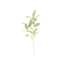 GREEN LEAVES
