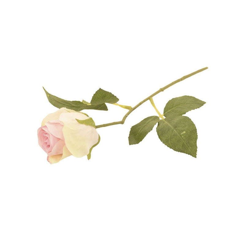 PINK ROSE